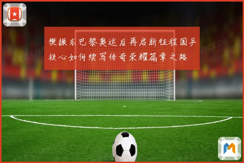 樊振东巴黎奥运后再启新征程国乒核心如何续写传奇荣耀篇章之路