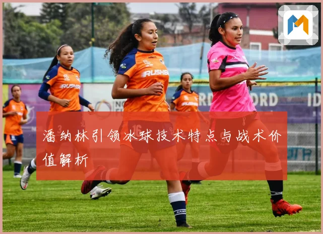 潘纳林引领冰球技术特点与战术价值解析